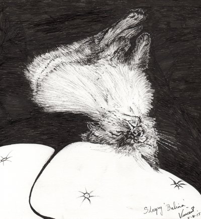 Sleepy Belina by Vincent Alexander Booth
